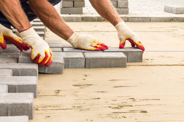 Best Local Driveway Pavers  in Lomira, WI